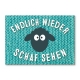 Endlich wieder Schaf sehen