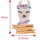 Pin - DramaLama